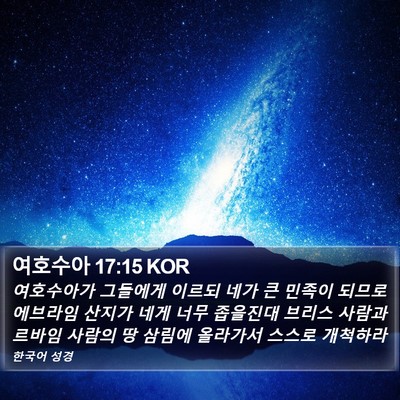 여호수아 17:15 KOR Bible Verse Image