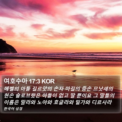여호수아 17:3 KOR Bible Verse Image
