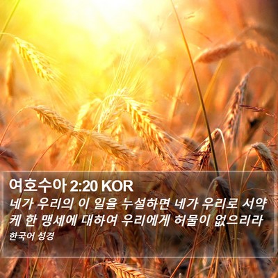 여호수아 2:20 KOR Bible Verse Image