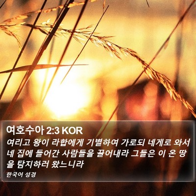 여호수아 2:3 KOR Bible Verse Image