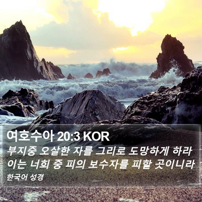 여호수아 20:3 KOR Bible Verse Image