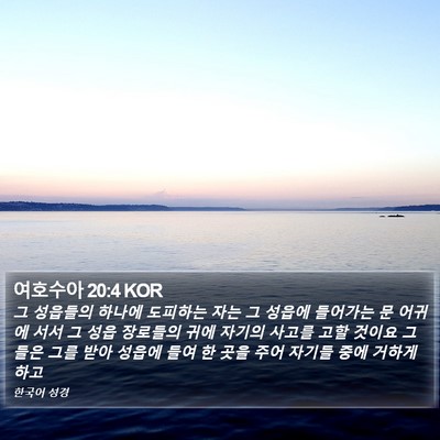 여호수아 20:4 KOR Bible Verse Image