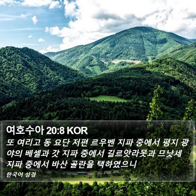 여호수아 20:8 KOR Bible Verse Image