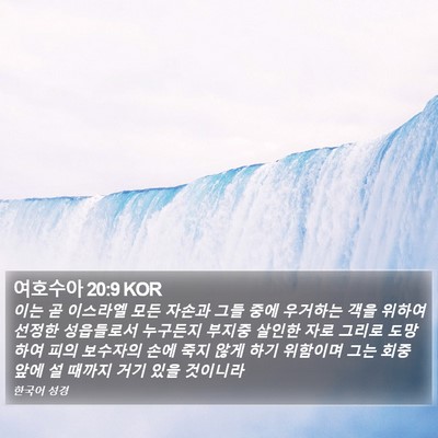 여호수아 20:9 KOR Bible Verse Image