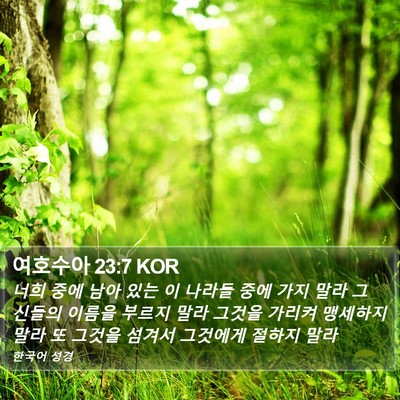 여호수아 23:7 KOR Bible Verse Image