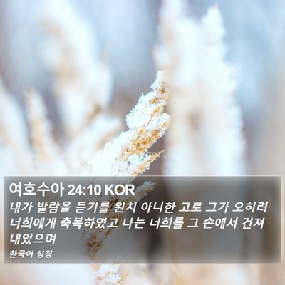 여호수아 24:10 KOR Bible Verse Image