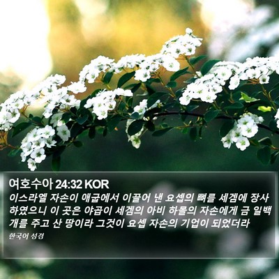 여호수아 24:32 KOR Bible Verse Image
