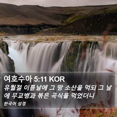 여호수아 5:11 KOR Bible Verse Image