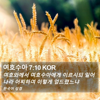 여호수아 7:10 KOR Bible Verse Image