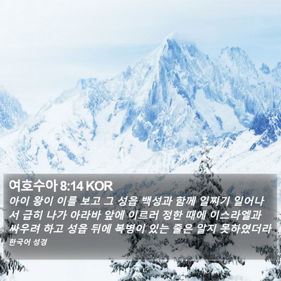 여호수아 8:14 KOR Bible Verse Image
