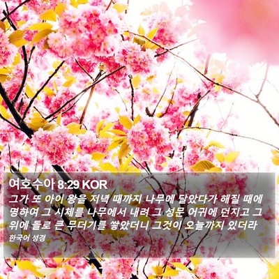 여호수아 8:29 KOR Bible Verse Image