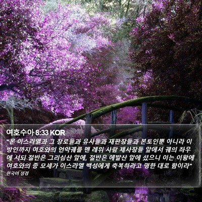 여호수아 8:33 KOR Bible Verse Image