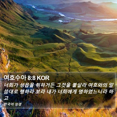 여호수아 8:8 KOR Bible Verse Image