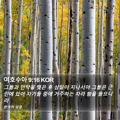 여호수아 9:16 KOR Bible Verse Image