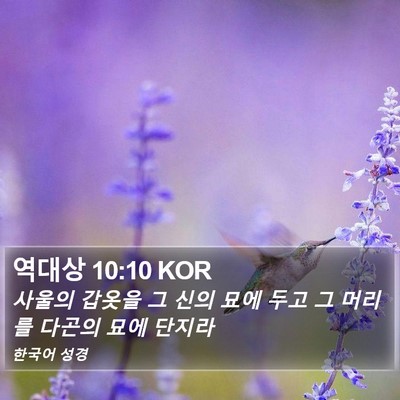 역대상 10:10 KOR Bible Verse Image