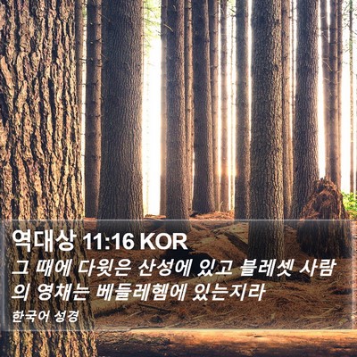 역대상 11:16 KOR Bible Verse Image