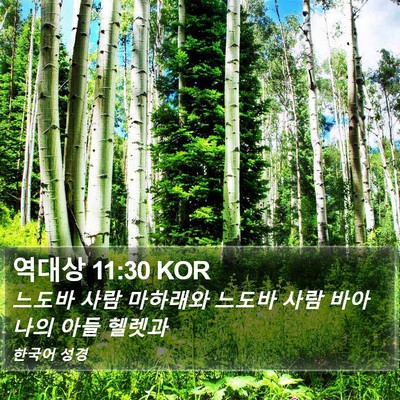 역대상 11:30 KOR Bible Verse Image