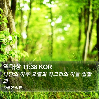 역대상 11:38 KOR Bible Verse Image