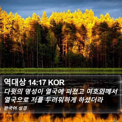 역대상 14:17 KOR Bible Verse Image