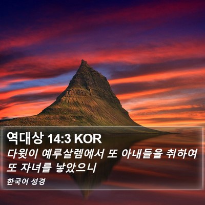 역대상 14:3 KOR Bible Verse Image