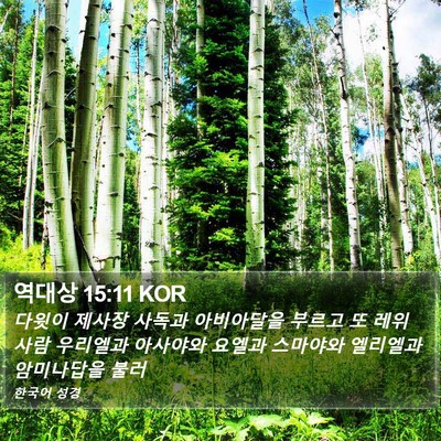 역대상 15:11 KOR Bible Verse Image