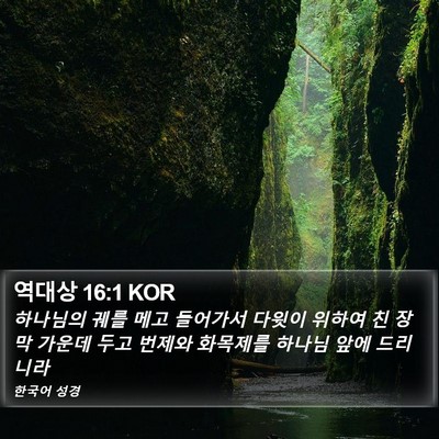 역대상 16:1 KOR Bible Verse Image