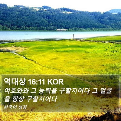 역대상 16:11 KOR Bible Verse Image