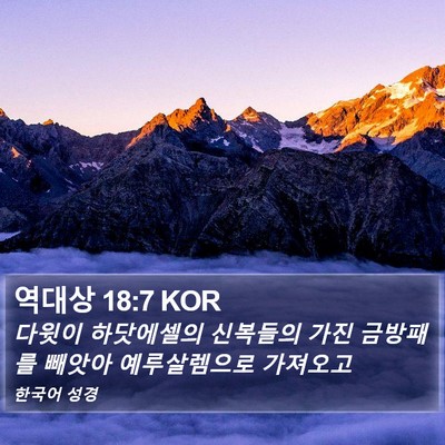 역대상 18:7 KOR Bible Verse Image