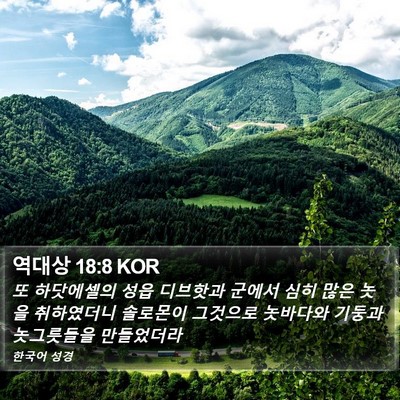 역대상 18:8 KOR Bible Verse Image