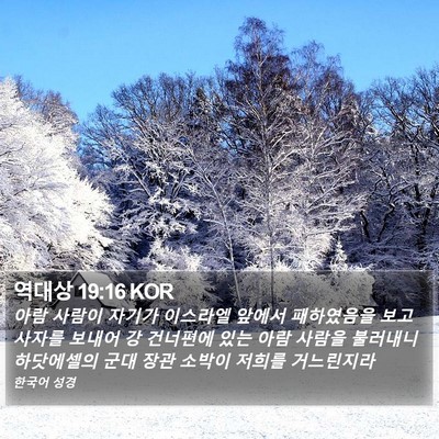역대상 19:16 KOR Bible Verse Image