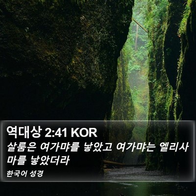 역대상 2:41 KOR Bible Verse Image