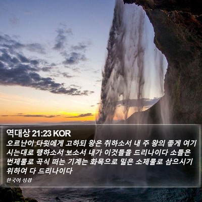 역대상 21:23 KOR Bible Verse Image