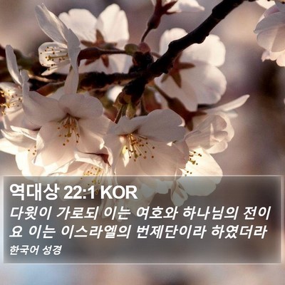 역대상 22:1 KOR Bible Verse Image