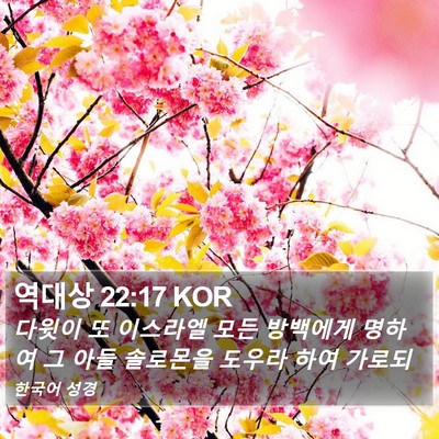 역대상 22:17 KOR Bible Verse Image
