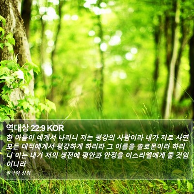 역대상 22:9 KOR Bible Verse Image