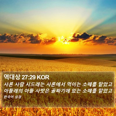 역대상 27:29 KOR Bible Verse Image
