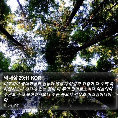 역대상 29:11 KOR Bible Verse Image
