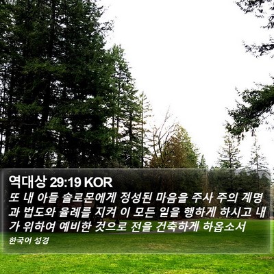 역대상 29:19 KOR Bible Verse Image