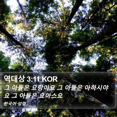 역대상 3:11 KOR Bible Verse Image