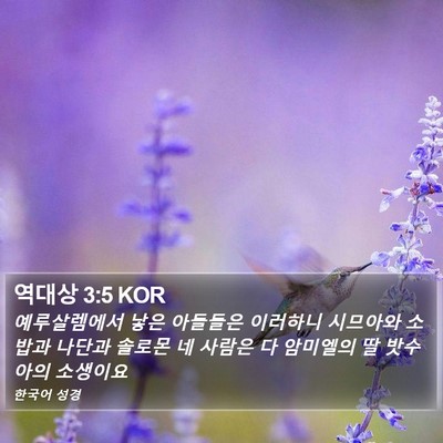 역대상 3:5 KOR Bible Verse Image