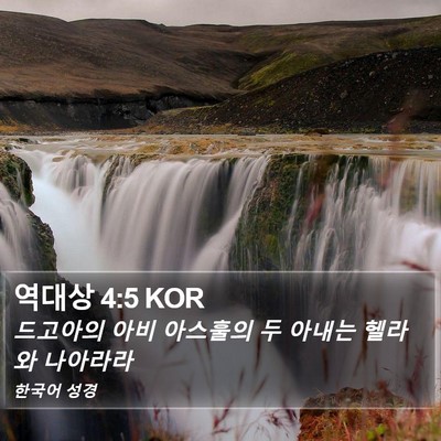 역대상 4:5 KOR Bible Verse Image