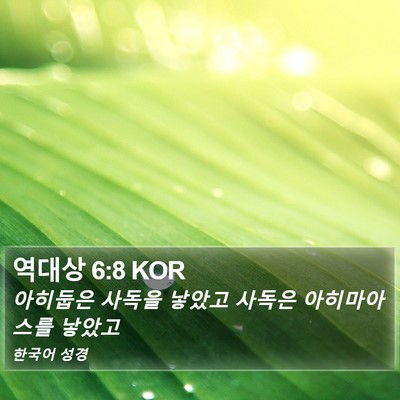 역대상 6:8 KOR Bible Verse Image