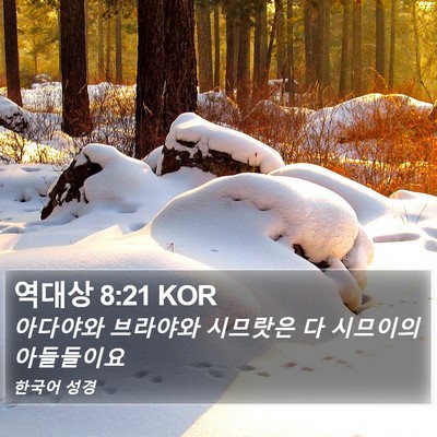 역대상 8:21 KOR Bible Verse Image