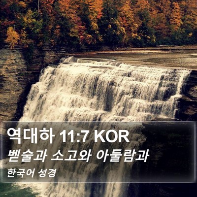 역대하 11:7 KOR Bible Verse Image