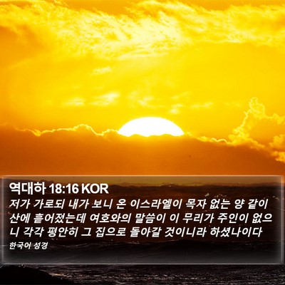 역대하 18:16 KOR Bible Verse Image