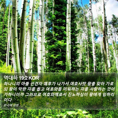 역대하 19:2 KOR Bible Verse Image