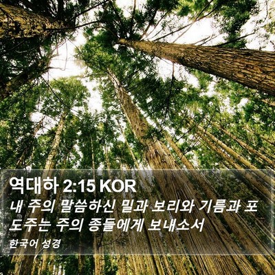 역대하 2:15 KOR Bible Verse Image