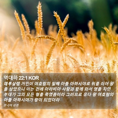 역대하 22:1 KOR Bible Verse Image