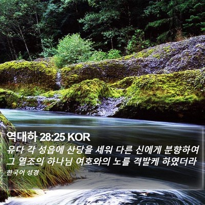 역대하 28:25 KOR Bible Verse Image