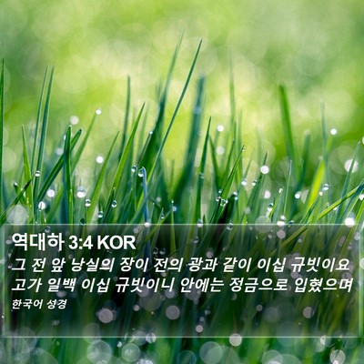 역대하 3:4 KOR Bible Verse Image